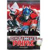 Premium Poster & Mount Bundle