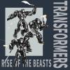imageYOLOPARK Bumblebee Transformers Toy Rise of The Beasts Action FigureHighly Articulated 65 Inch Transformer Toys for Boys Girls 8 Years Old and UpNo Converting Bumblebee Model KitOptimus Primal