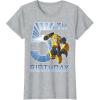 imageTransformers Bumblebee 5th Birthday Vintage TShirt SmallHeather Grey